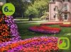 Sunpatiens różowy 6 szt.